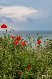 Bild-Nr: 12895815 Sommerfrische an der Ostsee  Erstellt von: Ursula Reins