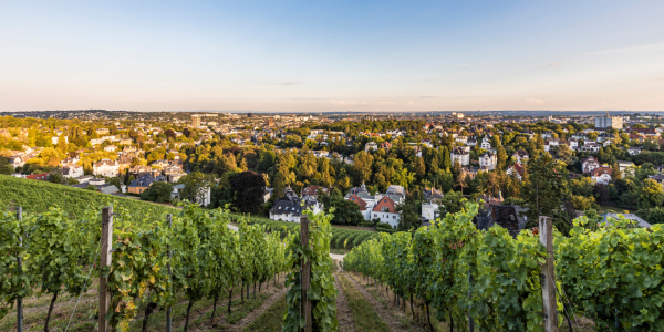 Bild-Nr: 12901914 Blick vom Neroberg auf Wiesbaden in Hessen Erstellt von: dieterich