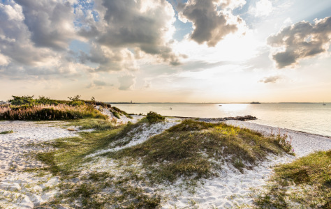 Bild-Nr: 12904676 Ostsee Dünenstrand Erstellt von: Ursula Reins