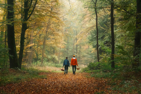 Bild-Nr: 12905364 Paar sammelt Pilze im malerischen Herbstwald Erstellt von: Smileus