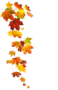 Bild-Nr: 12909123 Bunte Herbstblätter in fließender Form angeordnet Erstellt von: Smileus