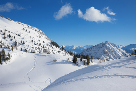 Bild-Nr: 12909989 Winterlandschaft Rofangebirge Erstellt von: SusaZoom