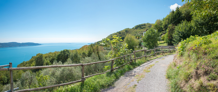 Bild-Nr: 12909991 Höhenweg Musaga am Gardasee Erstellt von: SusaZoom