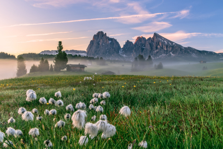 Bild-Nr: 12910238 Sommer auf der Seiser Alm Südtirol Erstellt von: Achim Thomae
