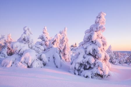 Bild-Nr: 12910420 Zauberhafter Wintermorgen am Fichtelberg Erstellt von: Daniela Beyer