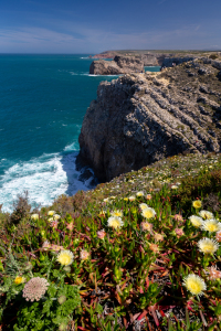 Bild-Nr: 12910566 Steilküste an der Algarve Erstellt von: DirkR