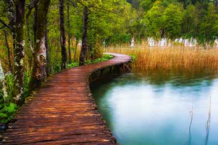 Bild-Nr: 12911250 Wege zur Entspannung XIII Erstellt von: Daniela Beyer