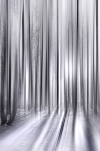 Bild-Nr: 12912355 Winterwald Erstellt von: Atteloi