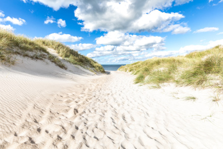 Bild-Nr: 12912716 Nordsee Stranddünen Erstellt von: Ursula Reins
