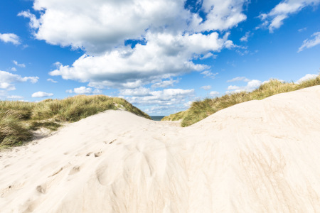 Bild-Nr: 12912717 Dünenberge am Nordseestrand Erstellt von: Ursula Reins