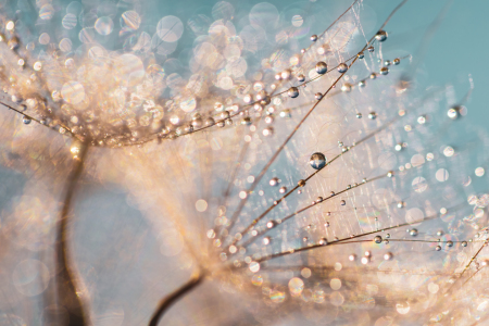 Bild-Nr: 12912848 Harmonie in der Natur Erstellt von: Daniela Beyer