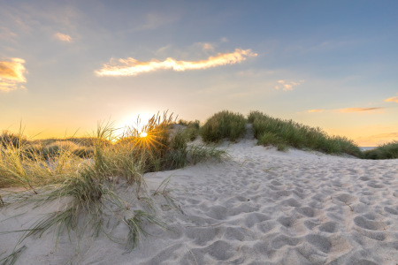 Bild-Nr: 12912949 Goldene Stunde am Strand  Erstellt von: Ursula Reins