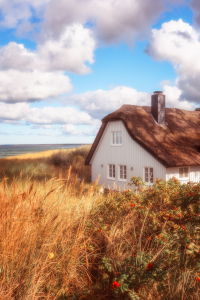 Bild-Nr: 12913415 Summerdream - Strandhaus in Ahrenshoop Erstellt von: Daniela Beyer