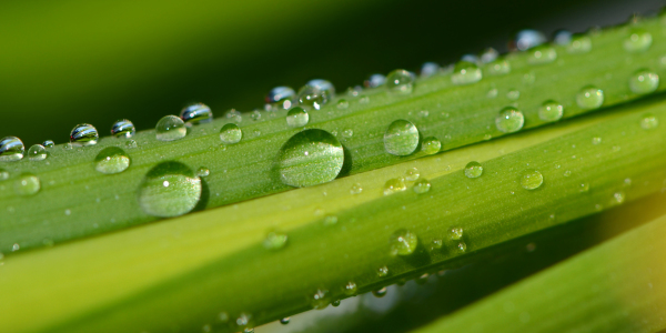 Bild-Nr: 12913957 Wassertropfen Erstellt von: Atteloi