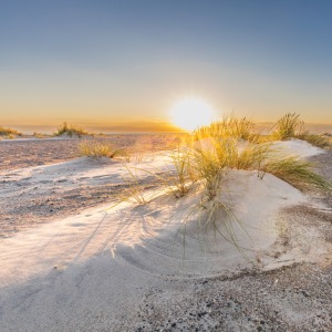 Bild-Nr: 12914000 Goldene Stunde am Strand Erstellt von: Ursula Reins