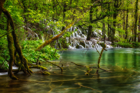 Bild-Nr: 12914141 wilder Wasserwald Erstellt von: Daniela Beyer