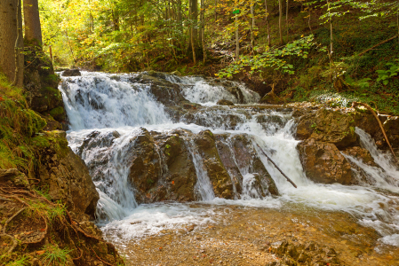 Bild-Nr: 12914368 Am Hachelbach Erstellt von: SusaZoom