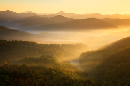 Bild-Nr: 12914690 Tagesanbruch über dem Pfälzerwald Erstellt von: Daniela Beyer