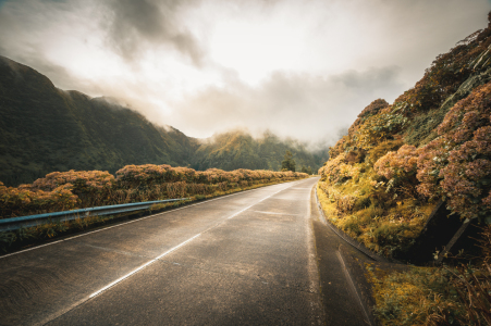 Bild-Nr: 12914801 Hortensienstrasse Azoren Erstellt von: Nordbilder