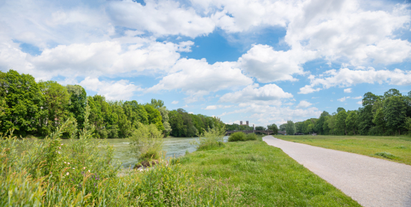 Bild-Nr: 12914967 In den Isarauen München Erstellt von: SusaZoom