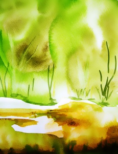 Bild-Nr: 12915376 green nature Erstellt von: M.A. Ziehr