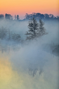 Bild-Nr: 12915867 Im Nebel gefangen  Erstellt von: falconer59