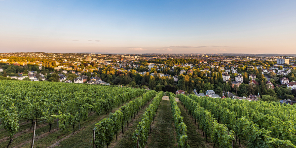 Bild-Nr: 12916330 Blick vom Neroberg auf Wiesbaden - Hessen Erstellt von: dieterich