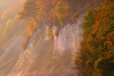 Bild-Nr: 12916749 Kreideküste auf Insel Rügen im Herbstlicht Erstellt von: Martin Martin Wasilewski