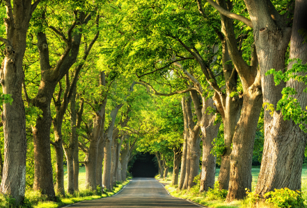 Bild-Nr: 12916772 Black Hole Rügen Erstellt von: Nordbilder