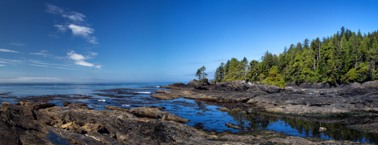 Bild-Nr: 12916865 Botanical Beach Erstellt von: DirkR