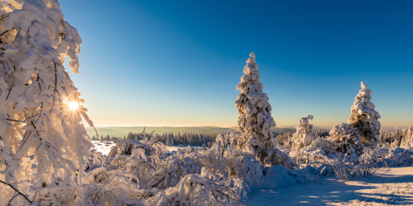 Bild-Nr: 12917537 Sonnenaufgang am Schliffkopf im Schwarzwald Erstellt von: dieterich