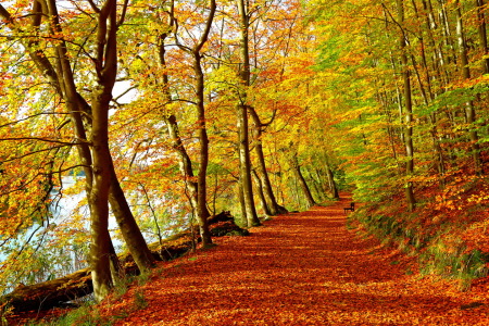 Bild-Nr: 12918508 Rastplatz am See  Erstellt von: Ursula Reins