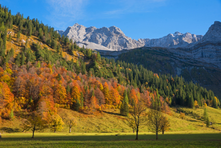 Bild-Nr: 12918588 Herbstlicher Karwendelwald Erstellt von: SusaZoom
