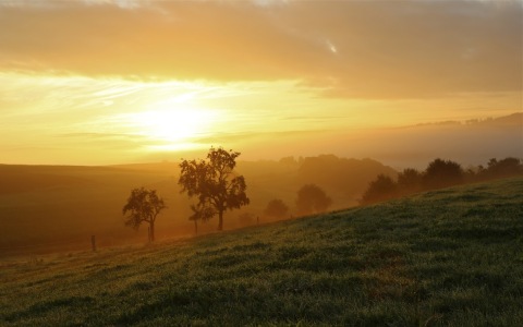 Bild-Nr: 12918810 Herbstnebel Erstellt von: Ursula Reins