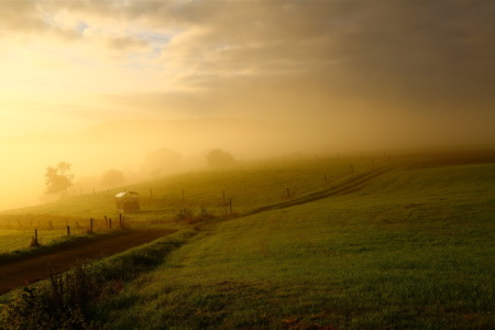 Bild-Nr: 12918813 Neuer Morgen  Erstellt von: Ursula Reins