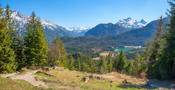 Bild-Nr: 12918847 Am Kranzberg Mittenwald Erstellt von: SusaZoom