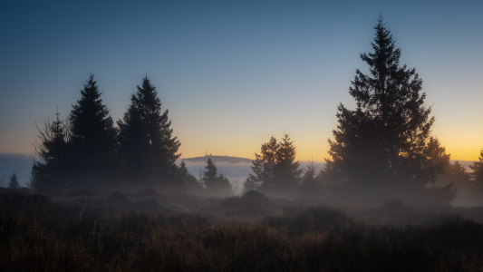 Bild-Nr: 12918850 Die Magie des Morgens  Erstellt von: Steffen Henze