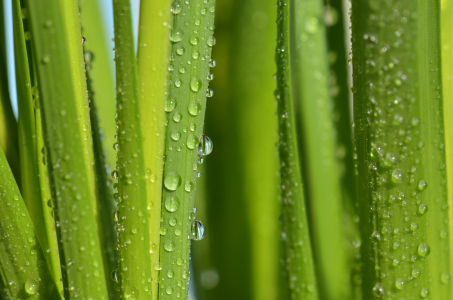Bild-Nr: 12921007 Wassertropfen Erstellt von: Atteloi