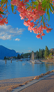 Bild-Nr: 12922519 Malcesine Idylle Erstellt von: SusaZoom