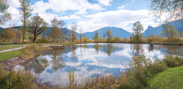 Bild-Nr: 12923972 Biotop in der Moorlandschaft Unterammergau Erstellt von: SusaZoom