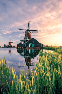 Bild-Nr: 12927799 Windmühlen in Holland Erstellt von: Achim Thomae