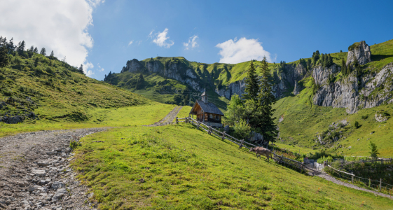 Bild-Nr: 12928067 Frühling am Brauneck Erstellt von: SusaZoom