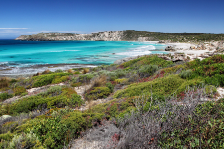 Bild-Nr: 12928562 Pennington Bay auf Kangaroo Island Erstellt von: DirkR