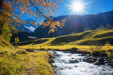 Bild-Nr: 12929998 Sertigbach im Herbst Erstellt von: SusaZoom