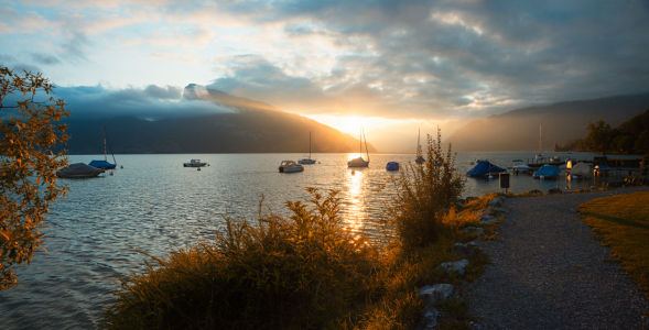 Bild-Nr: 12930520 Sonnenaufgang am Hafen Faulensee Thunersee Erstellt von: SusaZoom