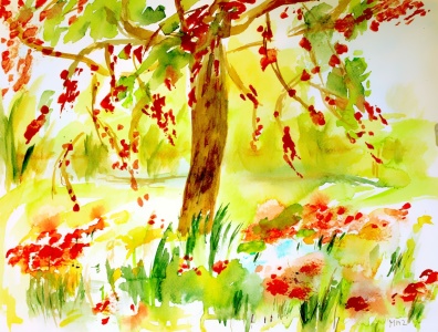 Bild-Nr: 12932244 Garten im Frühlinf Erstellt von: M.A. Ziehr