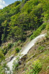 Bild-Nr: 12932497 Todtnauer Wasserfall - Schwarzwald Erstellt von: uh-Photography