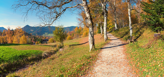 Bild-Nr: 12933095 Wanderweg Fischbachau Birkenstein Erstellt von: SusaZoom