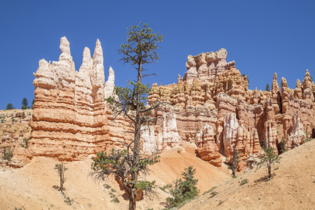 Bild-Nr: 12933780 BRYCE CANYON Faszinierende Felsformationen  Erstellt von: Melanie Viola