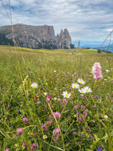 Bild-Nr: 12934108 Seiser Alm Erstellt von: DirkR